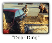 Door Ding