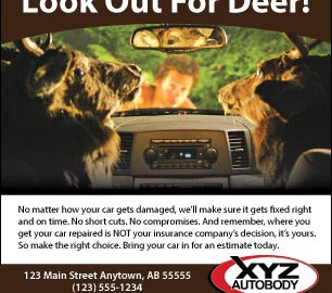 Look out for Deer Print Ad